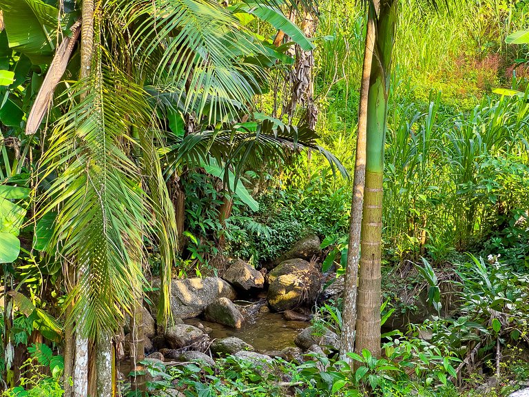 Casa de Campo c/Piscina Aquecida - perto da cidade